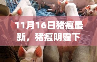 猪瘟阴霾下的日常，友情冒险之旅的最新进展