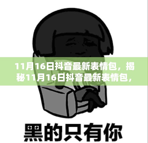 揭秘，最新抖音表情包流行趋势与影响，11月16日更新盘点