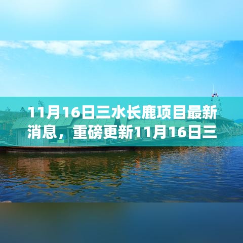 11月16日三水长鹿项目最新进展与细节大揭秘