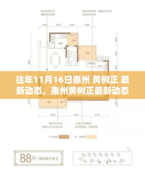 惠州黄树正最新动态深度解析与观点阐述，历年11月16日回顾与最新进展报告