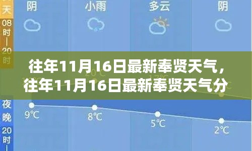 往年11月16日奉贤天气概况及深度分析