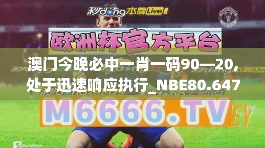 澳门今晚必中一肖一码90—20,处于迅速响应执行_NBE80.647竞技版