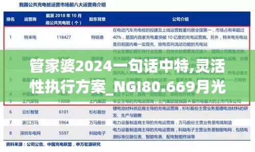 管家婆2024一句话中特,灵活性执行方案_NGI80.669月光版