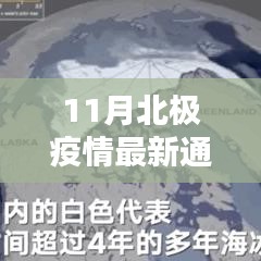 北极疫情最新动态，共同应对挑战，掌握最新消息