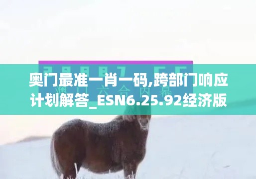 奥门最准一肖一码,跨部门响应计划解答_ESN6.25.92经济版