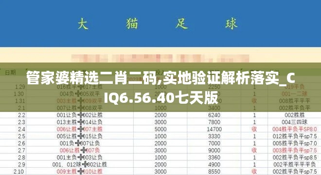 管家婆精选二肖二码,实地验证解析落实_CIQ6.56.40七天版