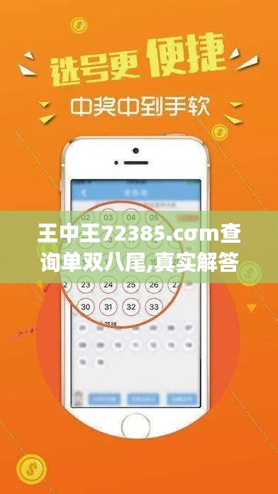 王中王72385.cσm查询单双八尾,真实解答解释定义_OFK8.80.89传承版