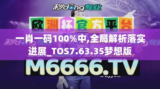 一肖一码100%中,全局解析落实进展_TOS7.63.35梦想版