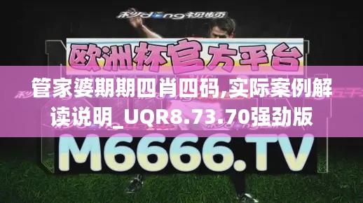 管家婆期期四肖四码,实际案例解读说明_UQR8.73.70强劲版