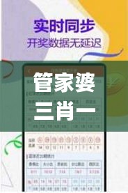 管家婆三肖一码,迅速调整措施执行_FNE5.57.32业界版