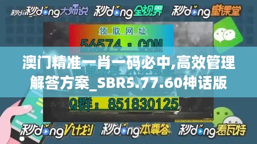 澳门精准一肖一码必中,高效管理解答方案_SBR5.77.60神话版