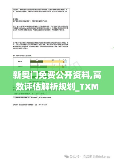 新奥门免费公开资料,高效评估解析规划_TXM8.42.51传承版