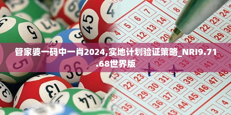 管家婆一码中一肖2024,实地计划验证策略_NRI9.71.68世界版