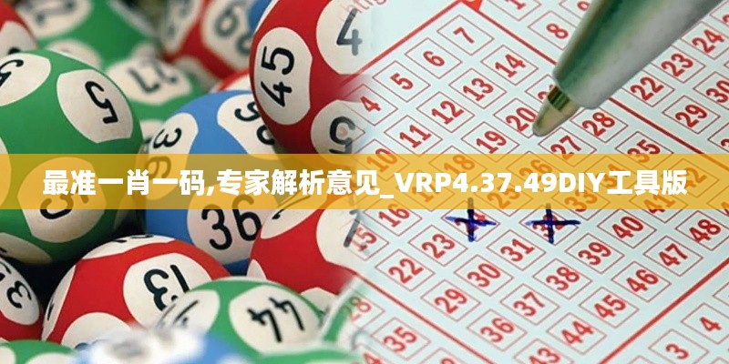 最准一肖一码,专家解析意见_VRP4.37.49DIY工具版