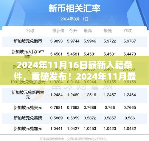 2024年最新入籍条件解读，全面解析入籍要求，你想知道的都在这里