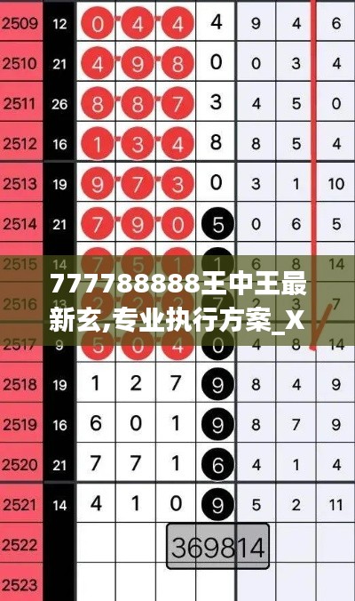 777788888王中王最新玄,专业执行方案_XWY5.13.70七天版