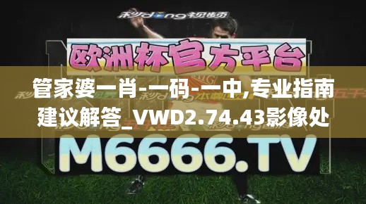 管家婆一肖-一码-一中,专业指南建议解答_VWD2.74.43影像处理版