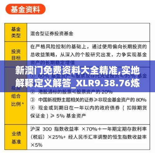 新澳门免费资料大全精准,实地解释定义解答_XLR9.38.76炼髓境