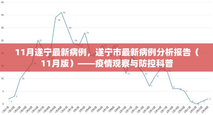 遂宁市最新病例分析报告（11月版），疫情观察与防控科普知识解读