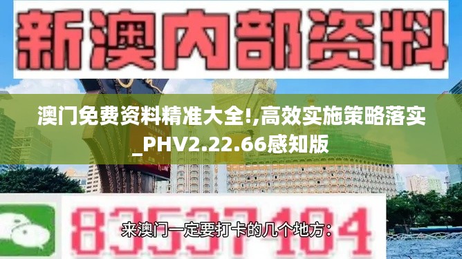 澳门免费资料精准大全!,高效实施策略落实_PHV2.22.66感知版