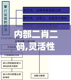 内部二肖二码,灵活性方案实施评估_DSX4.41.45户外版