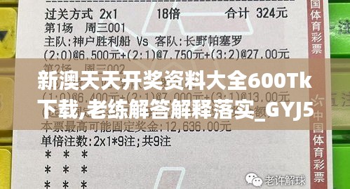 新澳天天开奖资料大全600Tk下载,老练解答解释落实_GYJ5.31.58零障碍版