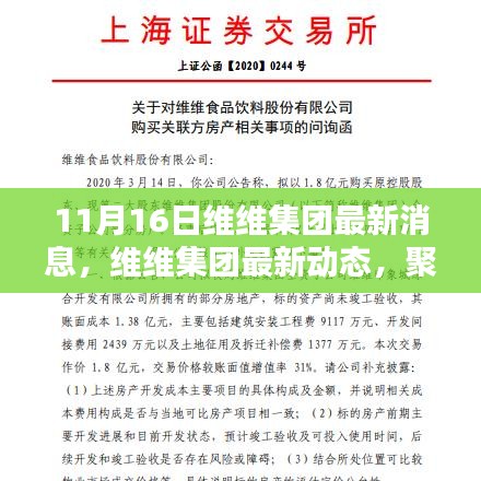 维维集团最新动态，聚焦行业焦点，了解企业最新消息