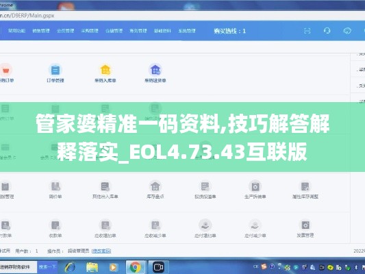 管家婆精准一码资料,技巧解答解释落实_EOL4.73.43互联版