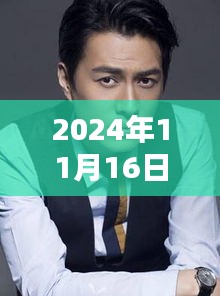 靳东最新图片发布，特性解析、用户体验与目标用户群体分析（日期，2024年11月16日）