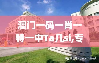 澳门一码一肖一特一中Ta几si,专业解析说明_FRL3.14.37动态版