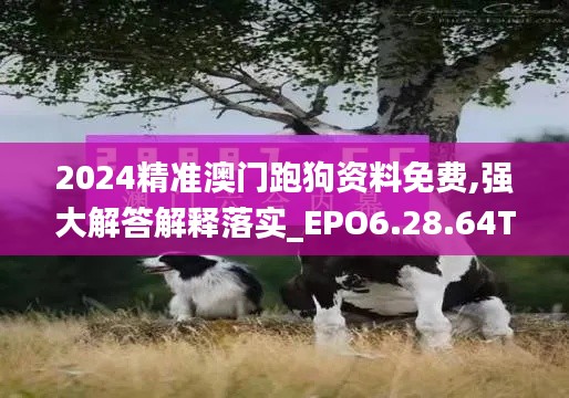 2024精准澳门跑狗资料免费,强大解答解释落实_EPO6.28.64Tablet