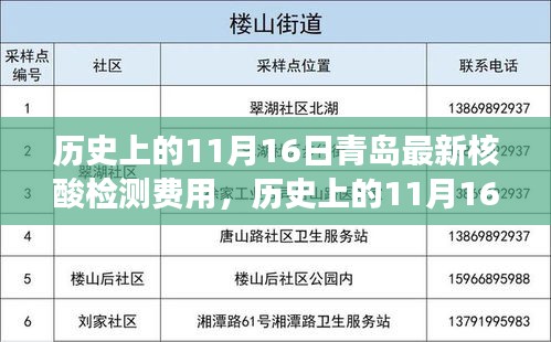 青岛核酸检测费用科技新纪元，历史上的11月16日前沿检测之旅体验纪实