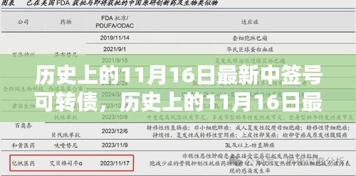 历史上的11月16日最新可转债中签号一览及详细步骤指南