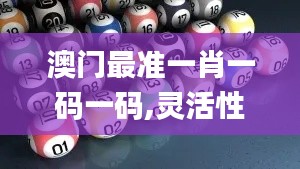 2024年11月17日 第71页