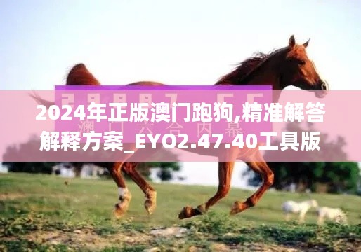 2024年正版澳门跑狗,精准解答解释方案_EYO2.47.40工具版