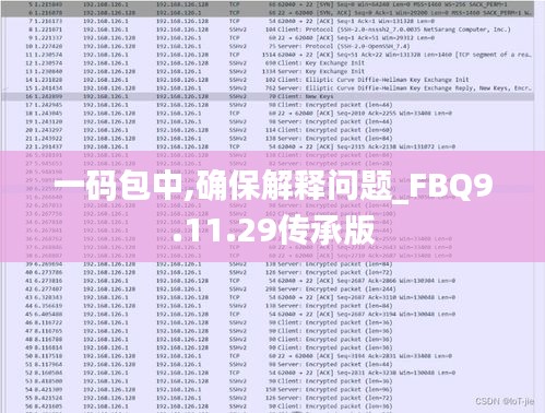 一码包中,确保解释问题_FBQ9.11.29传承版