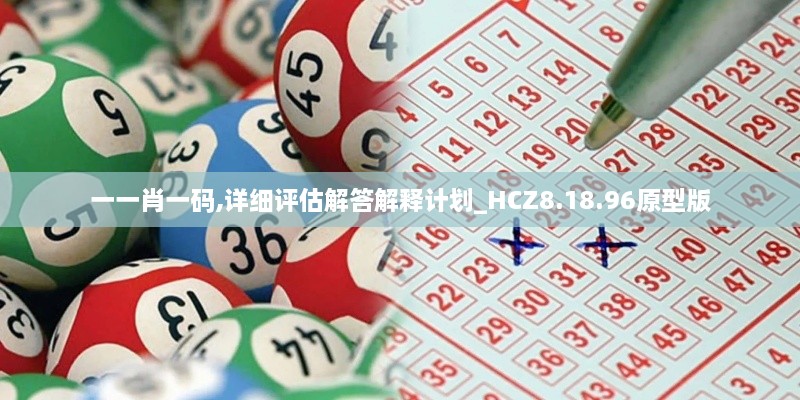 一一肖一码,详细评估解答解释计划_HCZ8.18.96原型版