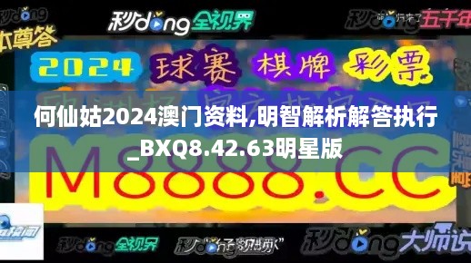 何仙姑2024澳门资料,明智解析解答执行_BXQ8.42.63明星版