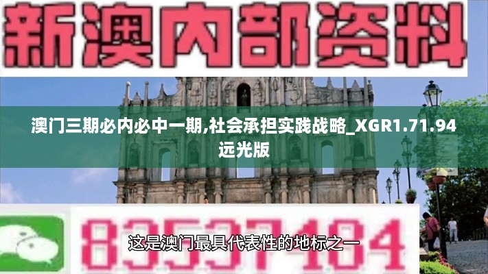 澳门三期必内必中一期,社会承担实践战略_XGR1.71.94远光版