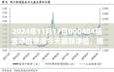 揭秘2024年11月17日基金净值，000404基金最新动态与领域地位