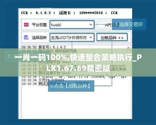 一肖一码100%,快速整合策略执行_PLX1.67.89精密版