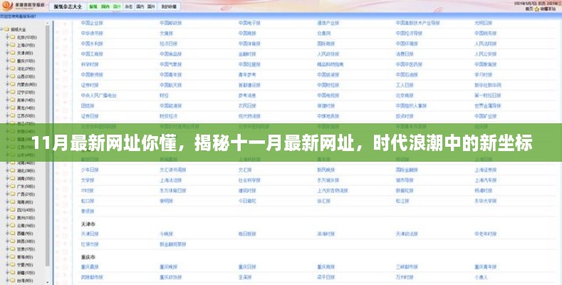 揭秘时代浪潮中的新坐标，十一月最新网址大盘点
