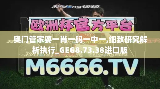 奥门管家婆一肖一码一中一,细致研究解析执行_GEG8.73.38进口版