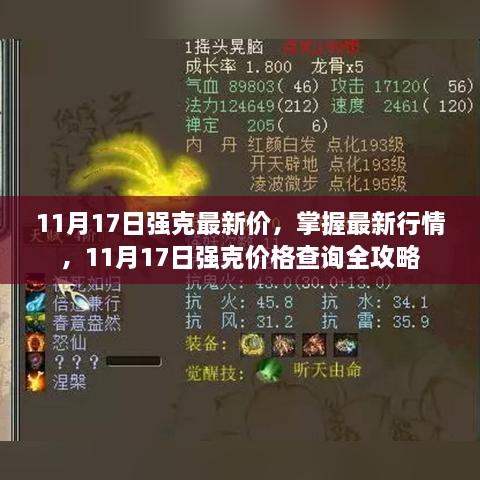 11月17日强克最新价格及行情全攻略