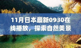 11月日本最新在线播放，自然美景与内心平静的艺术之旅