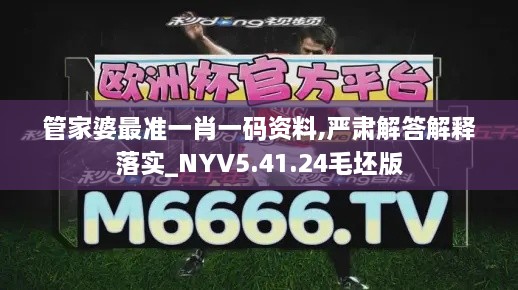 管家婆最准一肖一码资料,严肃解答解释落实_NYV5.41.24毛坯版