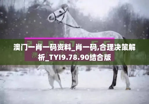 澳门一肖一码资料_肖一码,合理决策解析_TYI9.78.90结合版