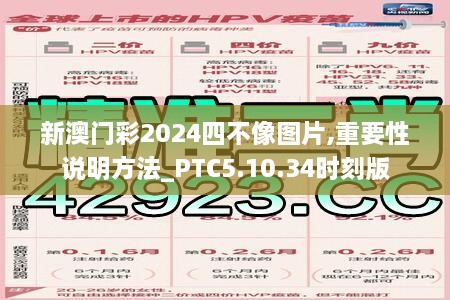 新澳门彩2024四不像图片,重要性说明方法_PTC5.10.34时刻版