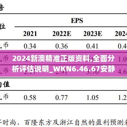 2024新澳精准正版资料,全面分析评估说明_WKN6.46.67安静版