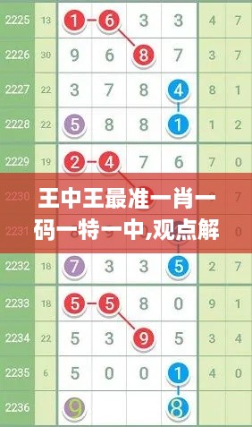 王中王最准一肖一码一特一中,观点解答解释落实_RTO9.52.87个人版